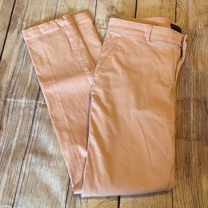 Banana Republic Pink Chino